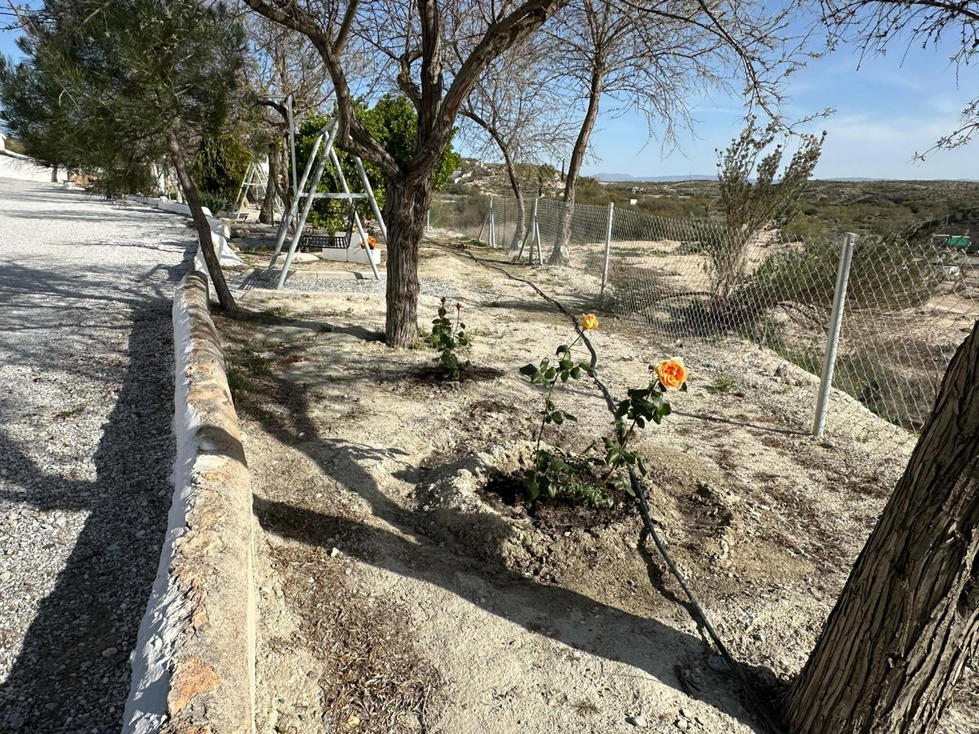 Alojamientos Cuevas Tiana El Aljibete Buitenkant foto