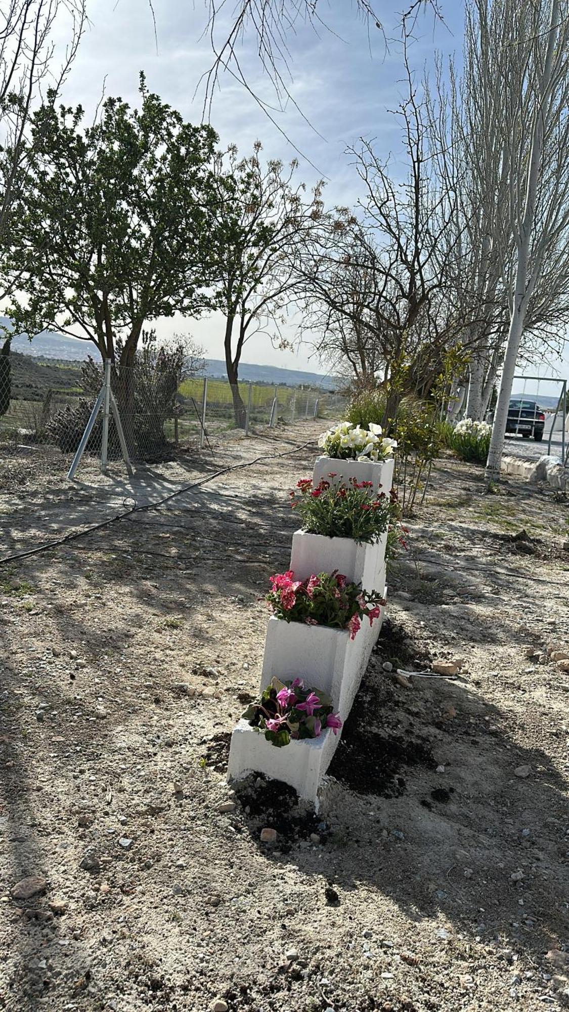 Alojamientos Cuevas Tiana El Aljibete Buitenkant foto