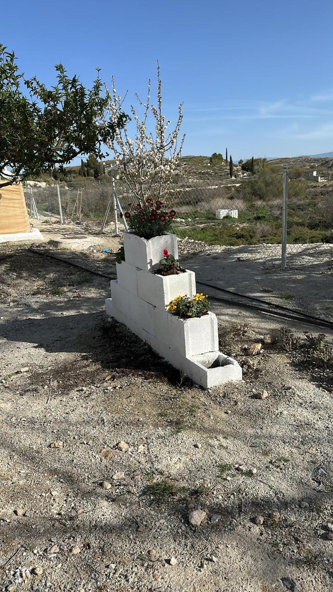 Alojamientos Cuevas Tiana El Aljibete Buitenkant foto