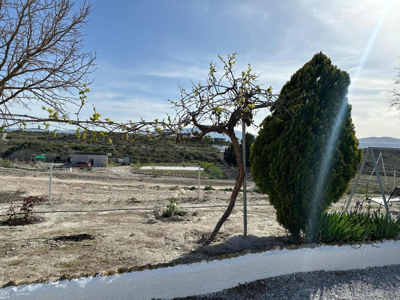 Alojamientos Cuevas Tiana El Aljibete Buitenkant foto